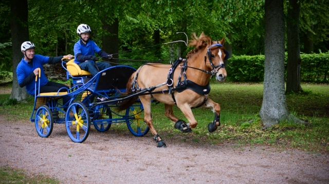 Körningen tar plats i Falsterbo