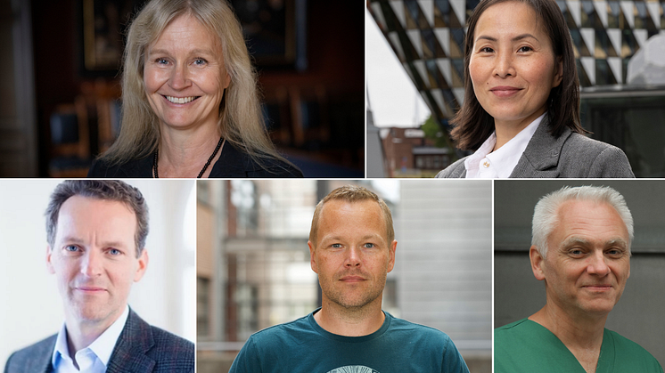 Här är projektägarna till de fyra utvalda pilotprojekten inom BRIDGE Sweden: Anna Dimberg, Uppsala universitet, Thuy Tran, KI, Maarten de Château, vd för Buzzard Pharmaceuticals, samt Henrik Ahlenius och Johan Bengzon, Lunds universitet.