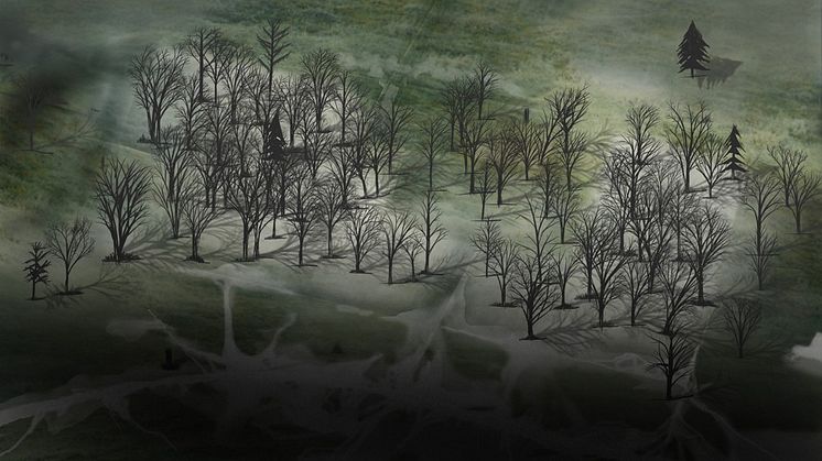 Jackdaw (Corvus monedula), 2015