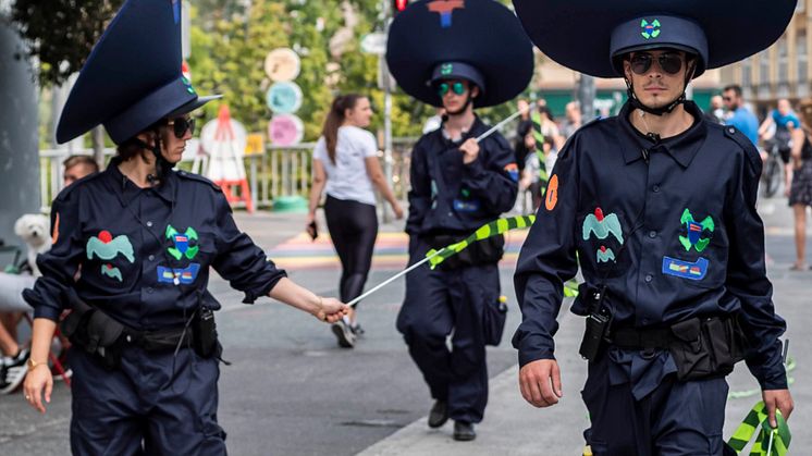 Flo Kaserau, Disorder Patrol