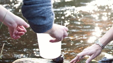 En miljon till studie om kustfiskens hälsa