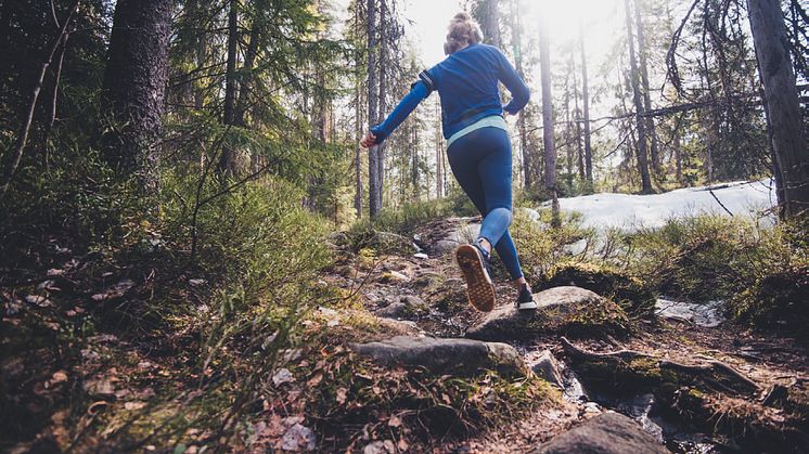 Camp Järvsö, för en aktiv upplevelse i vacker miljö