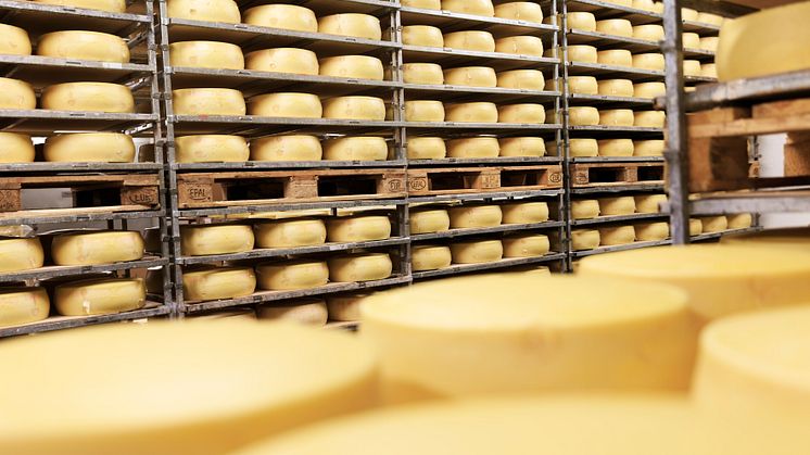 Skånemejeriers svar på Aftonbladets reportage: ”Vår hushållsost produceras enligt gällande lagstiftning och branschens riktlinjer”