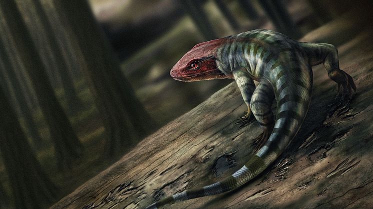 Reptil