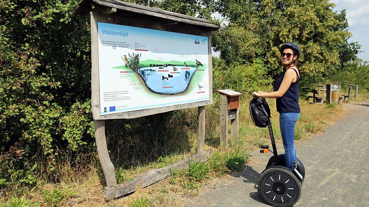 Naturlehrpfad am Grabschützer See - Segway Tour