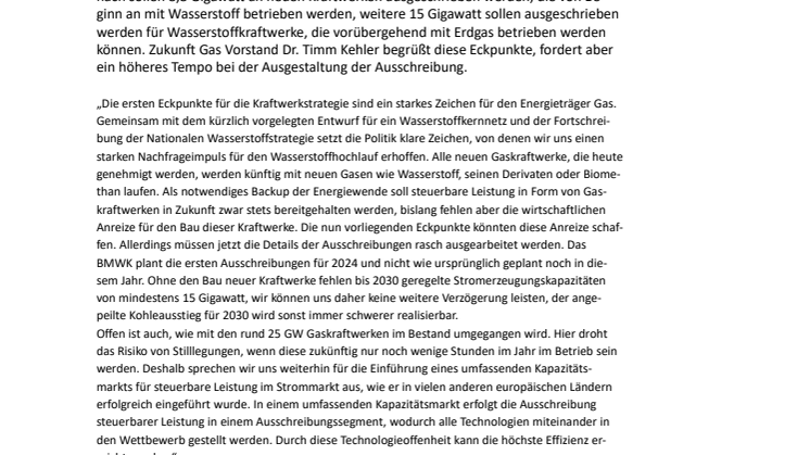 20230801_Pressestatement Kraftwerkstrategie_final.pdf