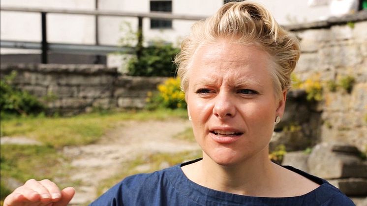 Sveriges kemiska geografi – hur kan den utvecklas? 