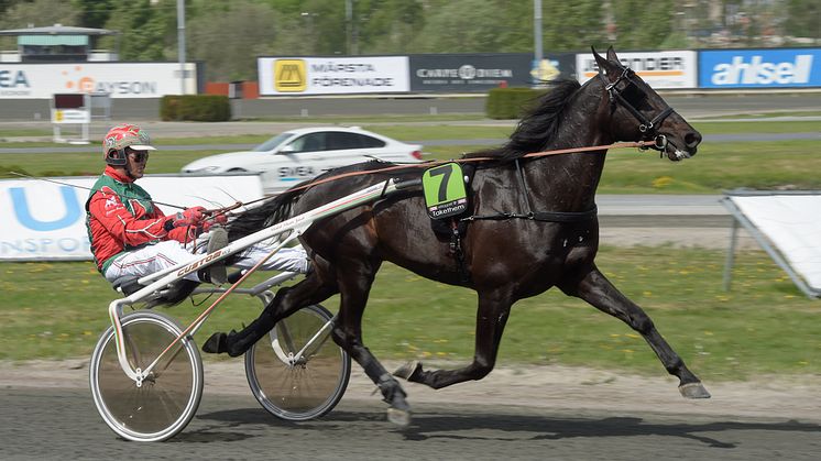 Takethem. Foto: Lars Jakobsson, Kanal 75