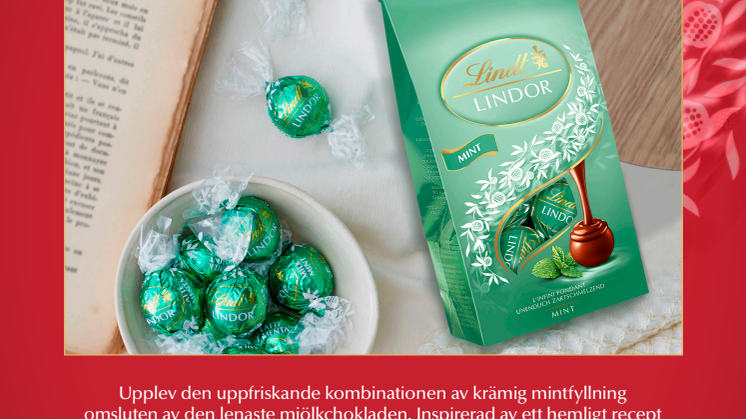 NJUT AV EN HÄRLIG STUND I HÖST