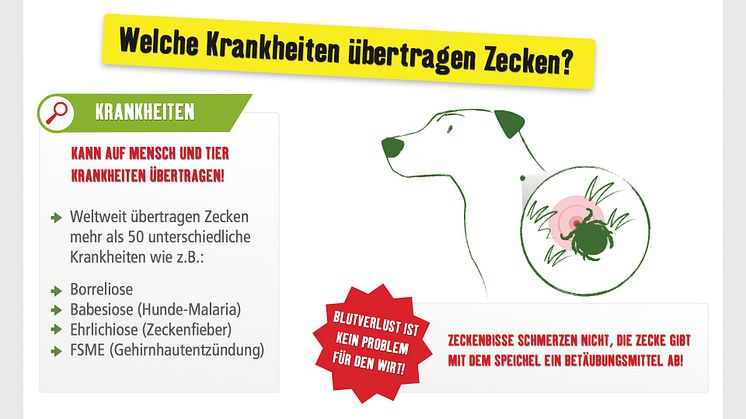 Infografik_ Zecke__300dpi_RGB.JPEG