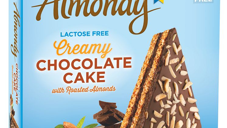 Lactose free Chocolate Cake with roasted Almonds