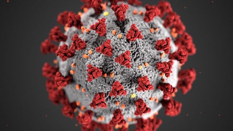 The team will develop a computer program to screen mutations for potentially increased transmission and potential immune escape 