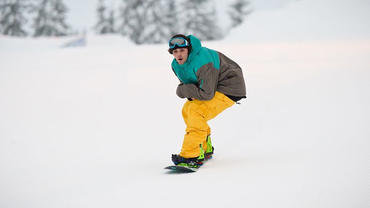 Parken i Trysil
