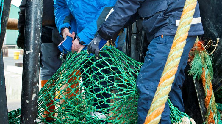 HaV omorganiserar fiskerikontrollen på västkusten