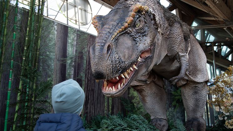 Universeum-dinosaurs Foto Maria Kopp_-1.jpg
