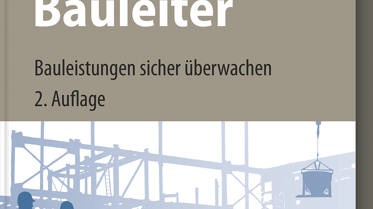 Praxis-Handbuch Bauleiter (2D/tif)