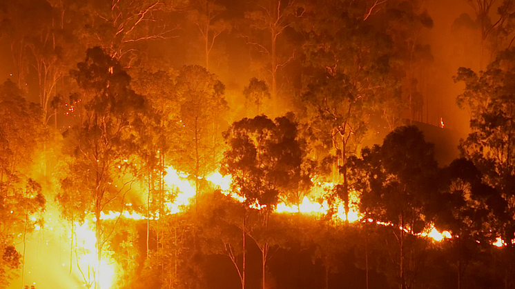 Vitality MoveToGive is supporting philanthropic organisation, the Gift of the Givers to provide relief to vulnerable people, as devastating fires threaten the city and surrounding communities.