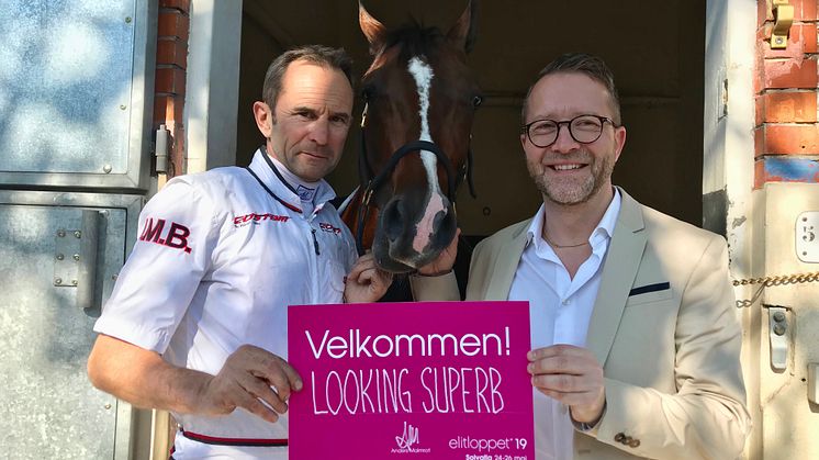 Looking Superb blir inbjuden till Elitloppet 2019. Foto: Solvalla. 