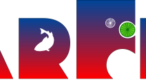 polarfront_logo_wide_v2_120h