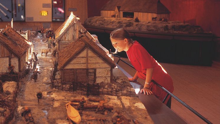 Birka museet firar 20 år. Välkommen på kalas!