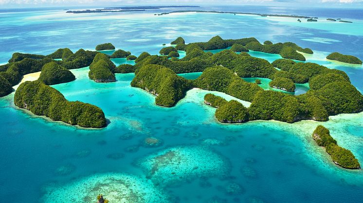 EXPERT COMMENT: A huge marine reserve in the Pacific will protect rich tourists rather than fish 