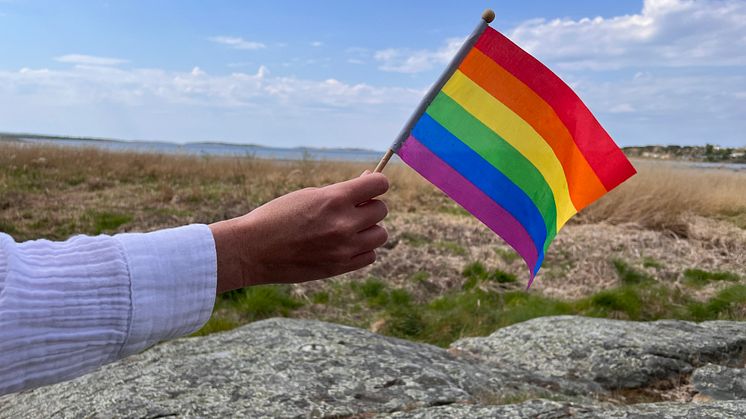 Prideflagga rågelund