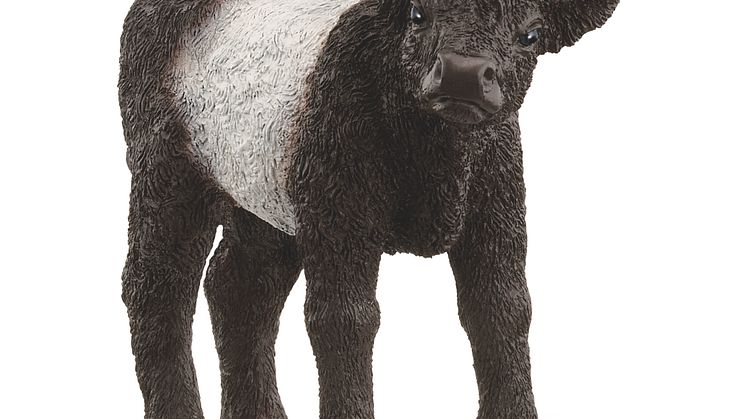 13969_Farm World_Galloway Calf (c)Schleich