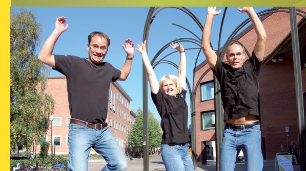 Hälsobokslut 2010 Skellefteå kommun