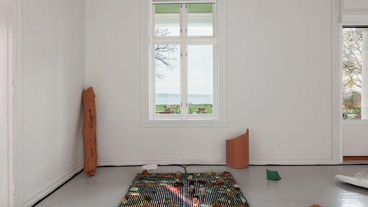 2022-symbiotic-stories-jakob-oredsson-19