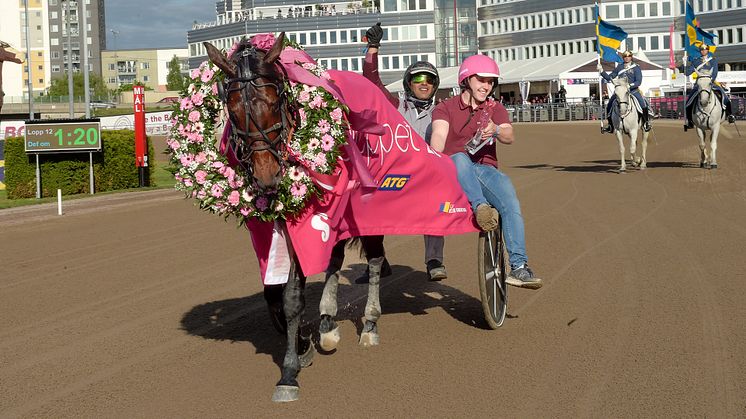 Hohneck vann Elitloppet på Solvalla och fem miljoner kronor. Foto: TR Bild
