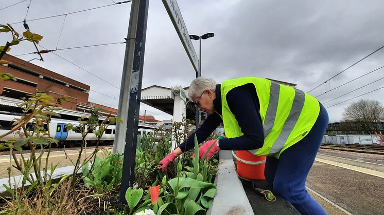 The sensory garden was created on 13 March