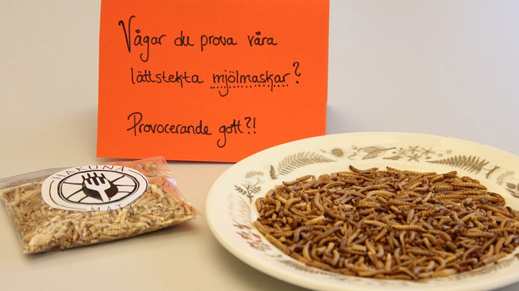 Hur provokativ får man vara?