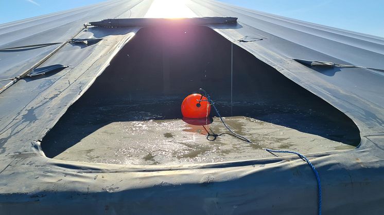 Effektiva temperaturåtgärder för att minska metan- och ammoniakemissioner från flytgödsellager