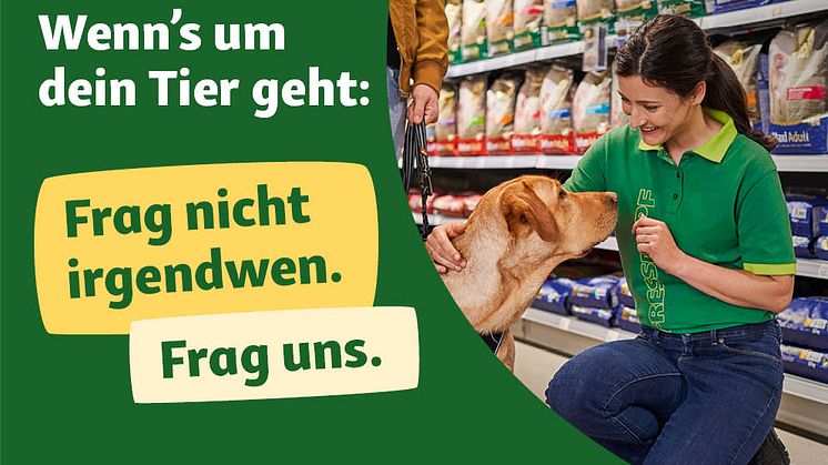 „Frag nicht irgendwen. Frag Fressnapf.“: Fressnapf Österreich setzt auf Katzen- und Hundeexpert:innen