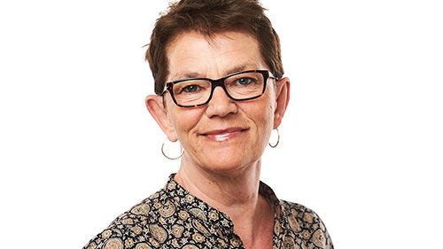 The internationalization of Sweden requires new models for occupational adaptation