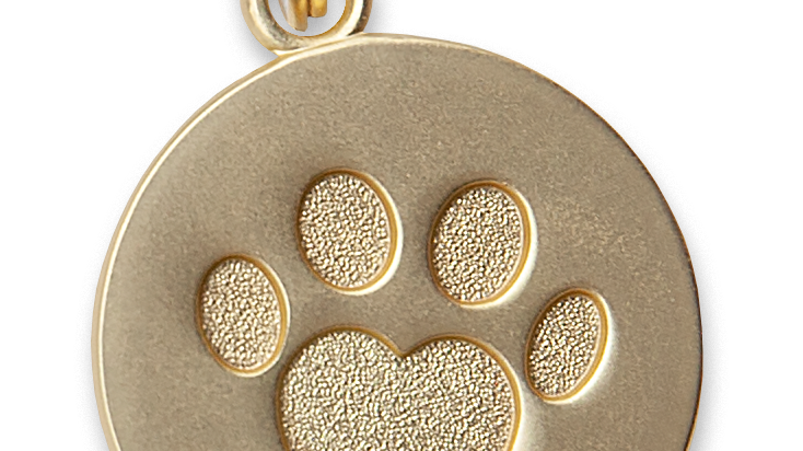 FN_CSR_pendant-gold-without-card-2_2022_KQ_sRGB