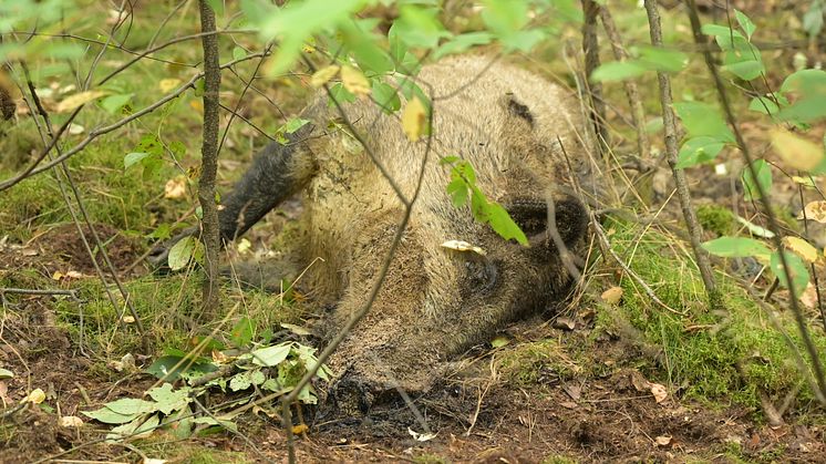 Foto: Landkreis Barnim/Bachmann