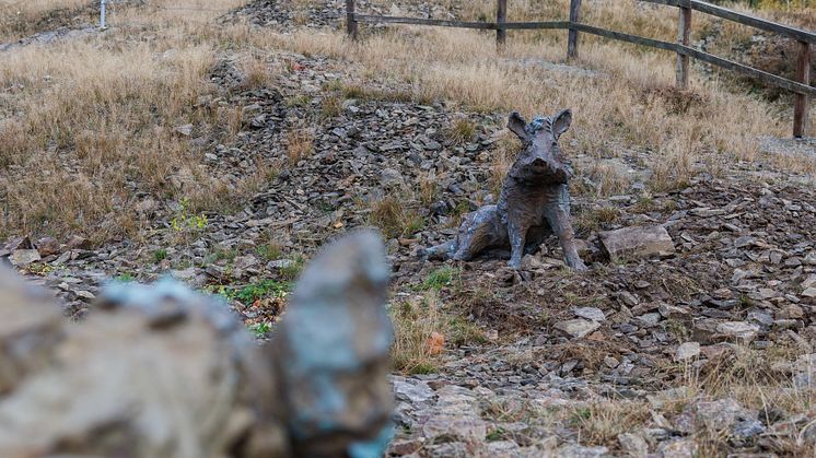 Purple Path_Wildschweine_Laut einer Geschichte gab dem Ort der späteren Zinngrube den Namen Sauberg_Fotograf Ronny Küttner.jpg