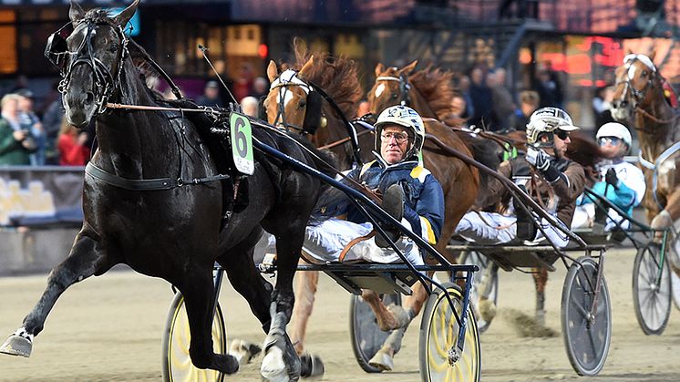 Nuncio segrade i Meadow Roads lopp 2016 och vann sedan Elitloppet samma år. Foto: TR Bild
