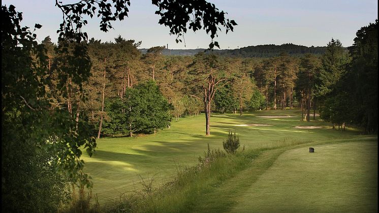 4 SRG VEST 7 a Store Bjørn - Silkeborg Ry Golfklub