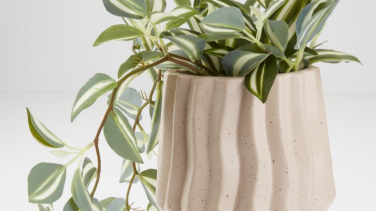 Blumentopf MAX Freisteller