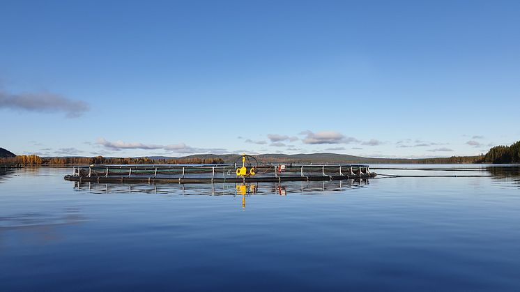 Vi är stolta över alla våra vattenbruksföretag som dagligen producerar nyttig och hälsosam mat!