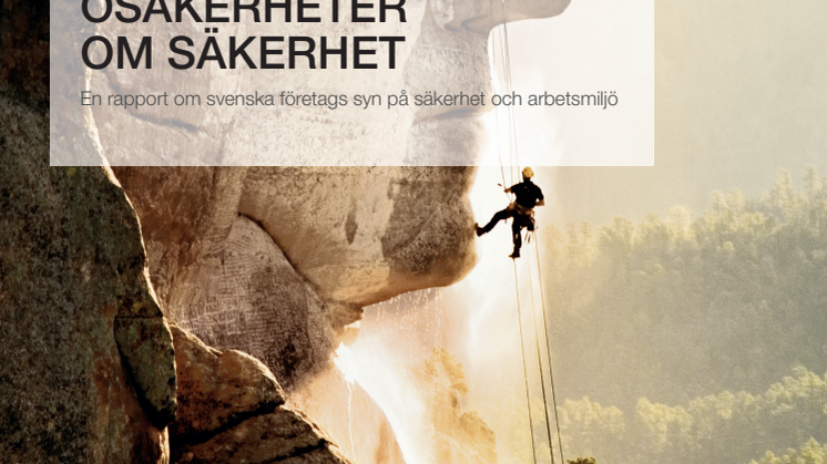 Rapport: Osäkerheter om säkerhet_Kärcher