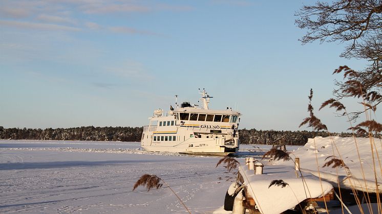 Stanna hemma – undvik resor ut i skärgården