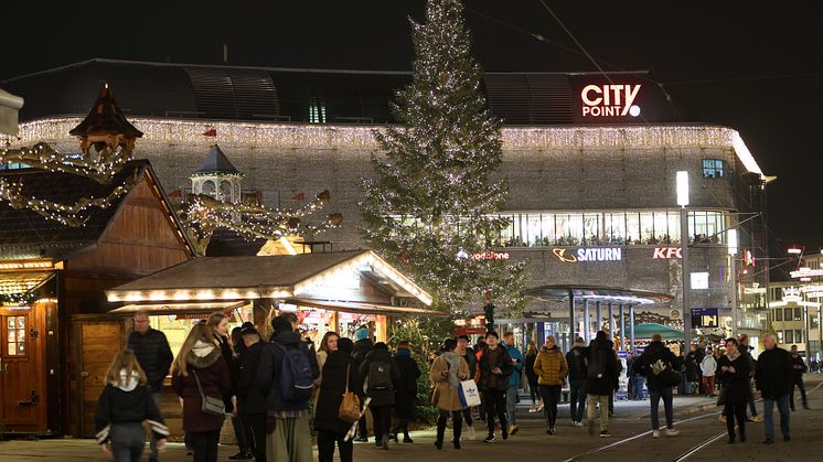 6. Weihnachtsbaum in Kassel