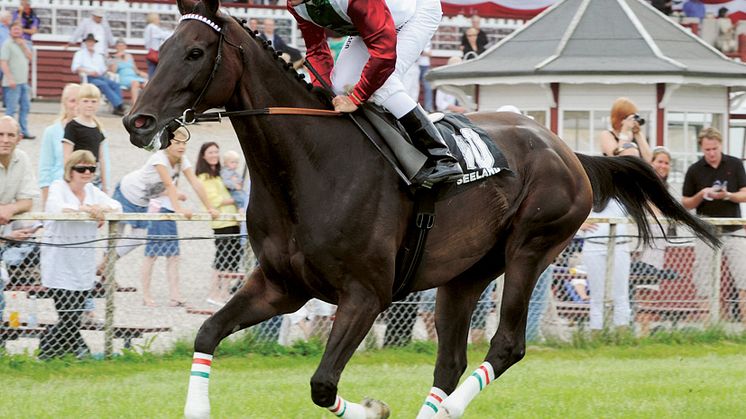 Svenske stjärngaloppören  inleder sin 7:e säsong  med storloppsseger!