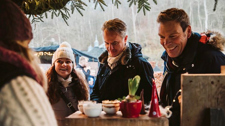 Juldrömmar på Norrvikens trädgårdar 20240.jpg