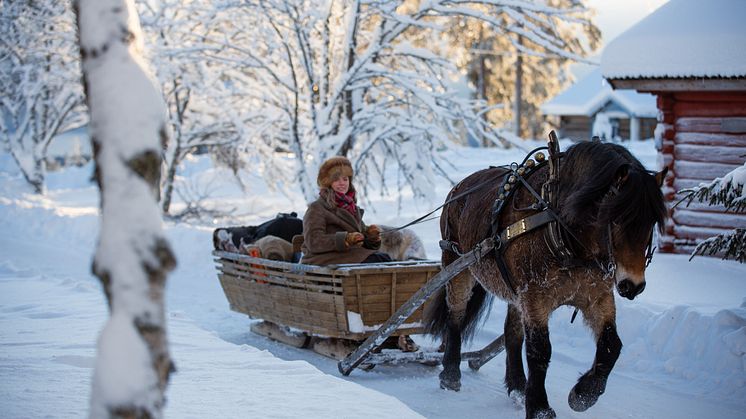 FryksasChalet_HorseSleighRide_photoJuliusAspman_VisitDalarna