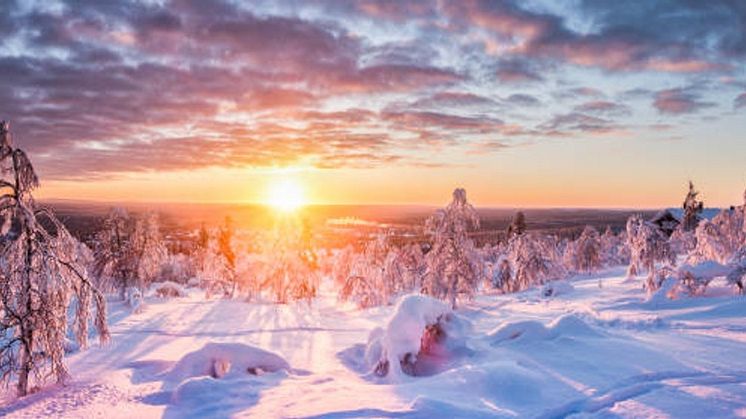 Charter från Amsterdam till Skellefteå etableras