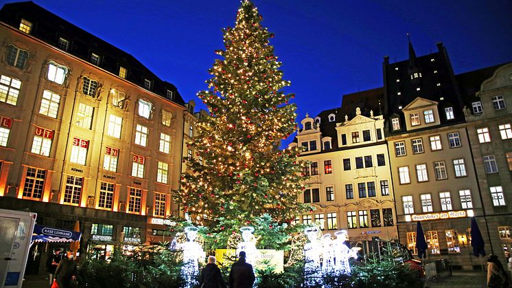 Weihnachtsbaum mit Lichtillumination "Chor der Engel" auf dem Markt - Foto: Andreas Schmidt